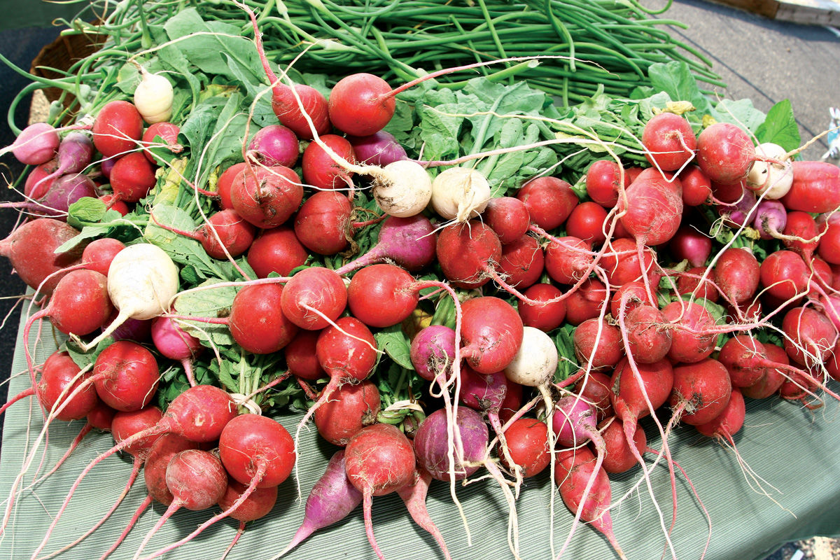 Savor the flavor of Delmarva